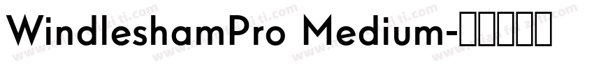 WindleshamPro Medium字体转换